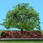 Ecologi makes carbon offsetting a subscription