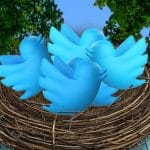 Twitter Communities hatch more focused, manageable conversations