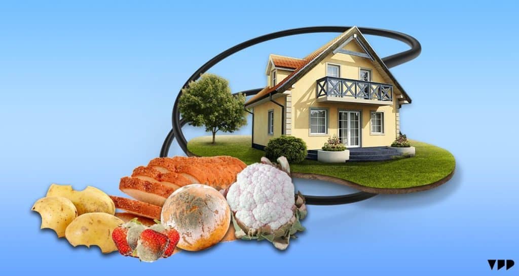 Biogas-green-energy-power-kitchen-thefutureparty