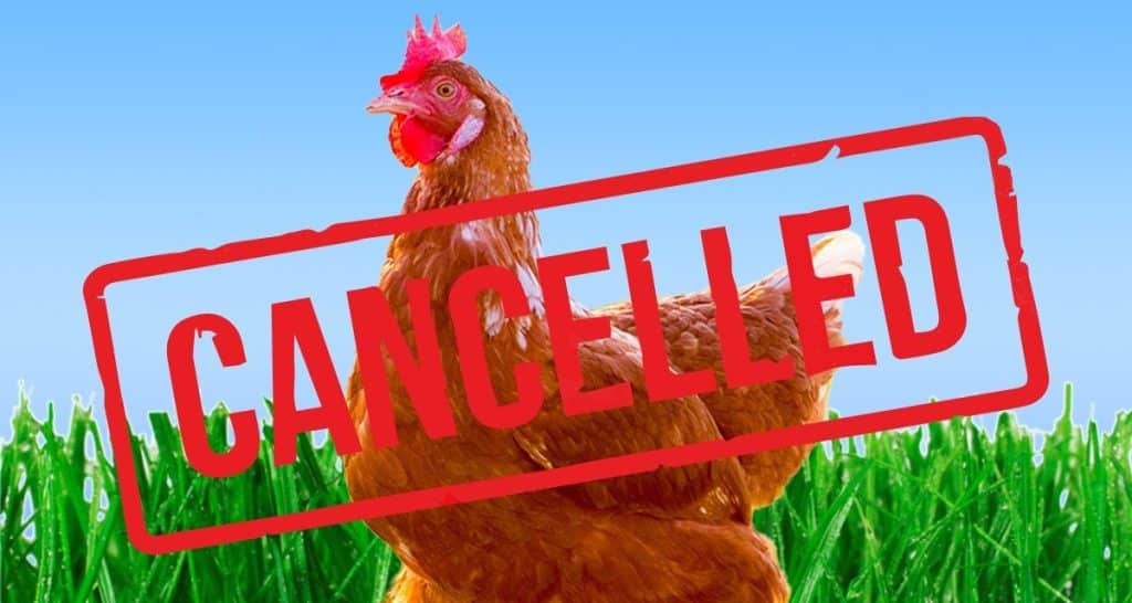 Chicken-Alternatives-McDonalds-KFC-thefutureparty