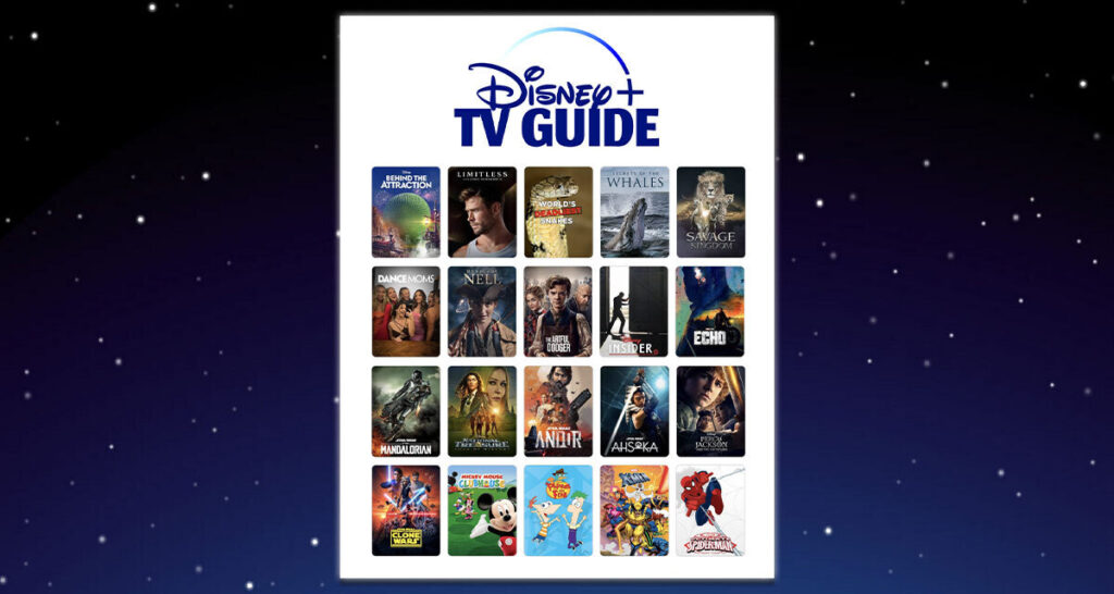 disney-channels-streaming-thefutureparty
