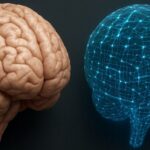 Scientists Trained AI On Human Cognition